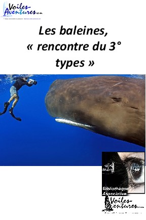 trois types de rencontres